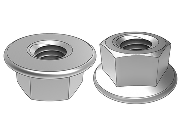 GB6177.1 Hexagon LABIUM nuces sine dentibus